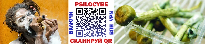 Галлюциногенные грибы Psilocybe  Купить  Заполярный 